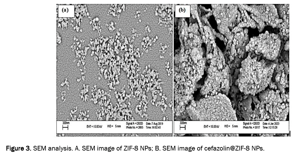 drug-delivery-analysisgydF4y2Ba