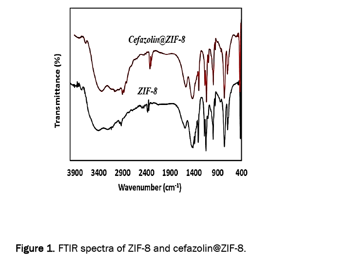 drug-delivery-spectragydF4y2Ba