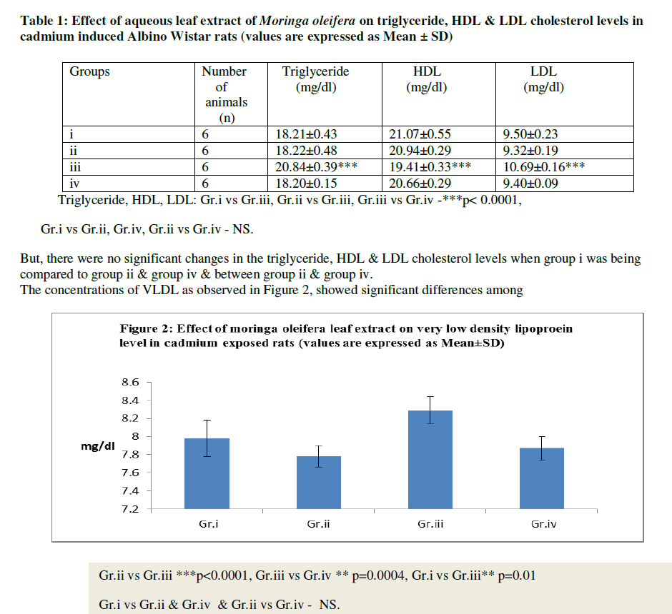 图像显示