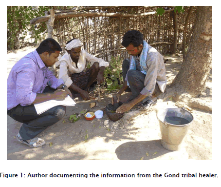 botanical-sciences-Gond-tribal-healer