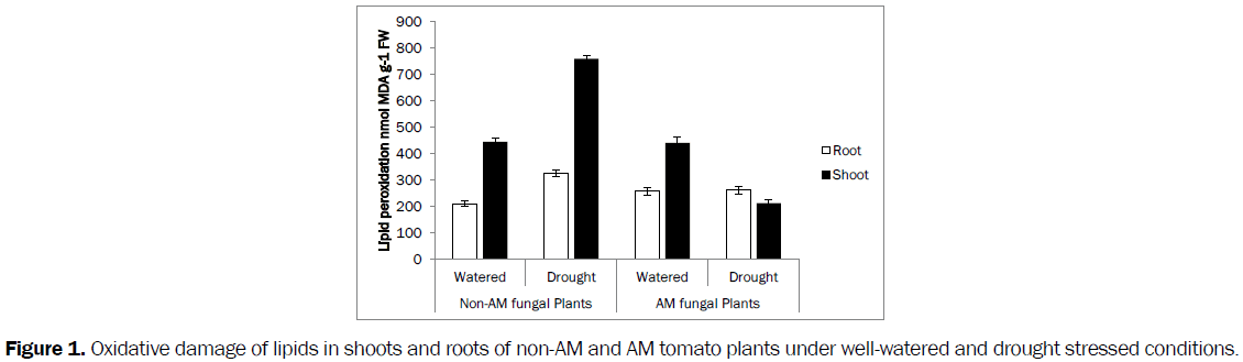 botanical-sciences-Oxidative-damage-lipids