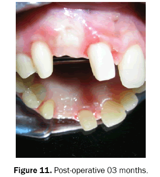 dental-sciences-months