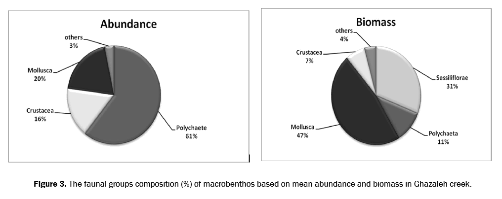 ecology-and-environmental-sciences-abundance