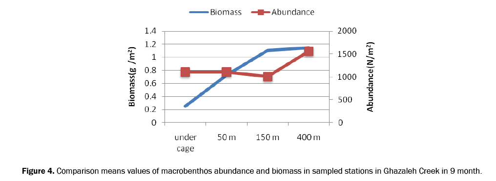 ecology-and-environmental-sciences-macrobenthos