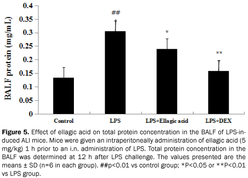 pharmacy-pharmaceutical-sciences-Effect-ellagic